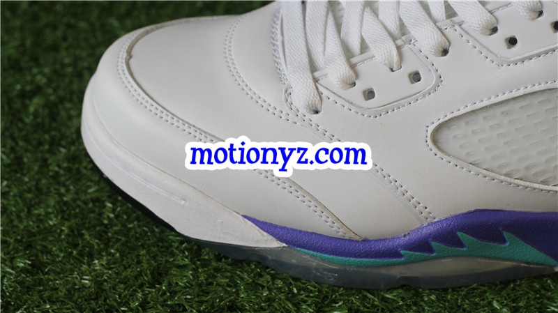 Authentic Air Jordan 5 Retro Grapes